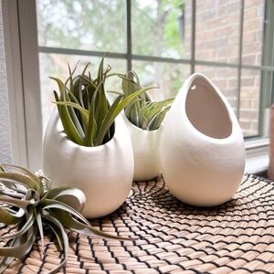 Elegant White Ceramic Vases